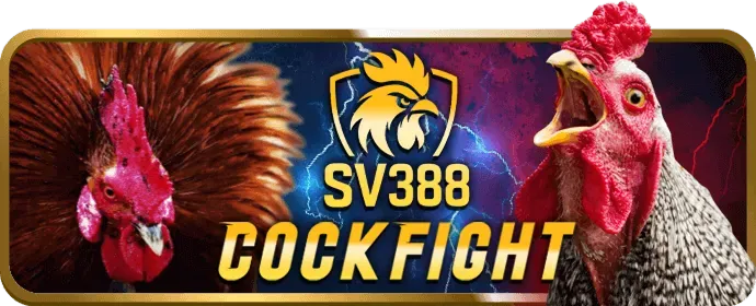 Các phương thức nạp tiền Win55